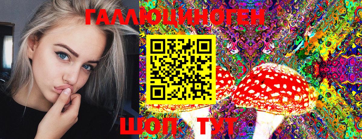 Галлюциногенные грибы Psilocybine cubensis Можайск